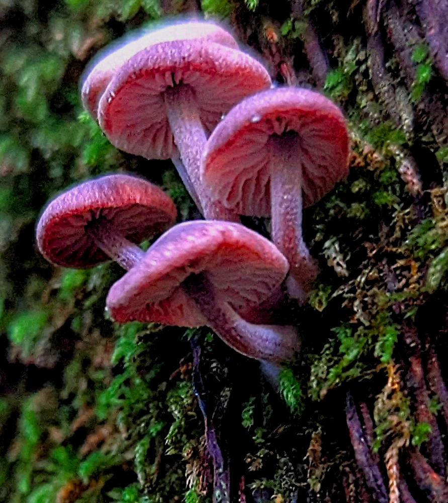 GIF uploaded by Chris