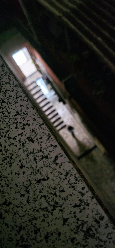 GIF uploaded by Tony