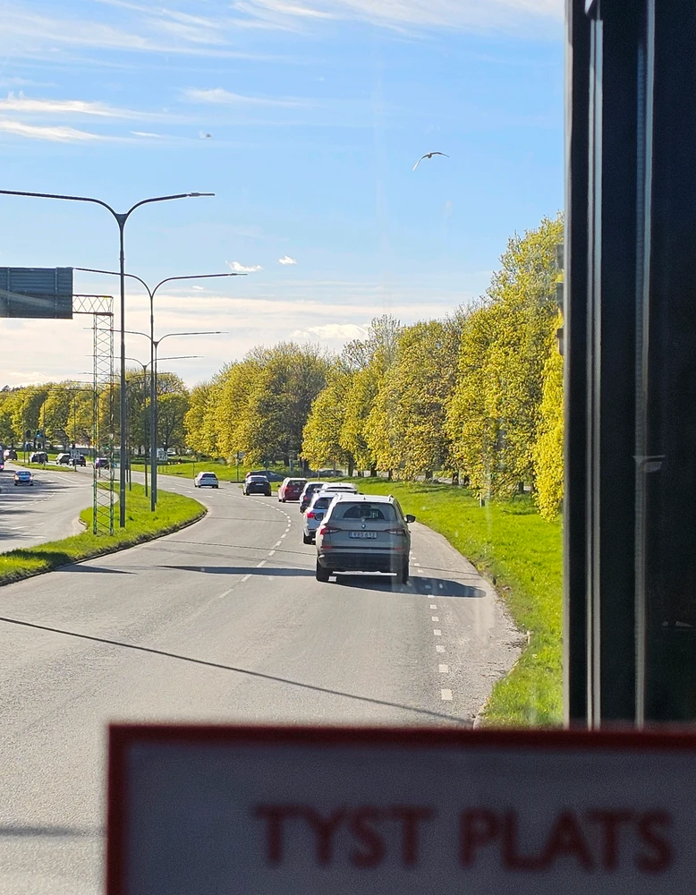 Bild uppladdad av Mazin-Martin