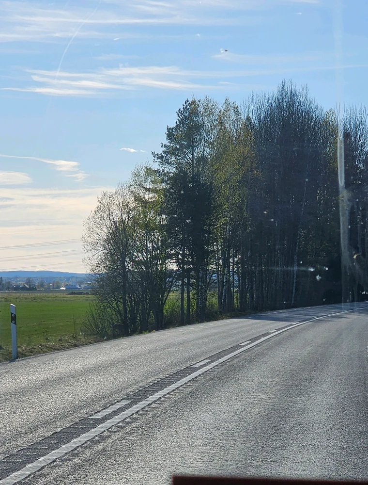 Bild uppladdad av Mazin-Martin