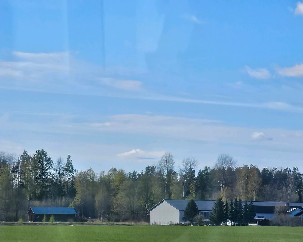 Bild uppladdad av Mazin-Martin