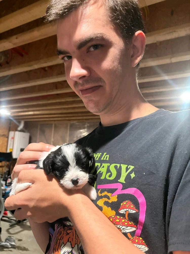 Image uploaded by Eli