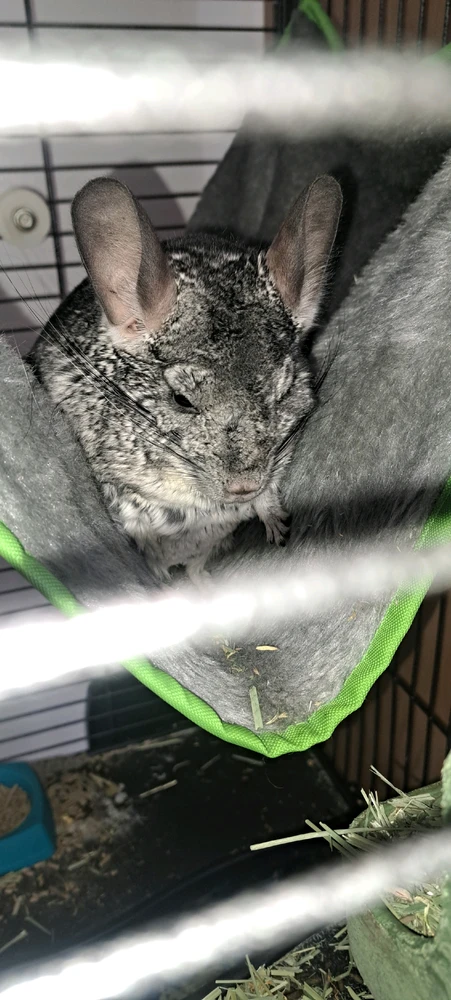 Image uploaded by Eli