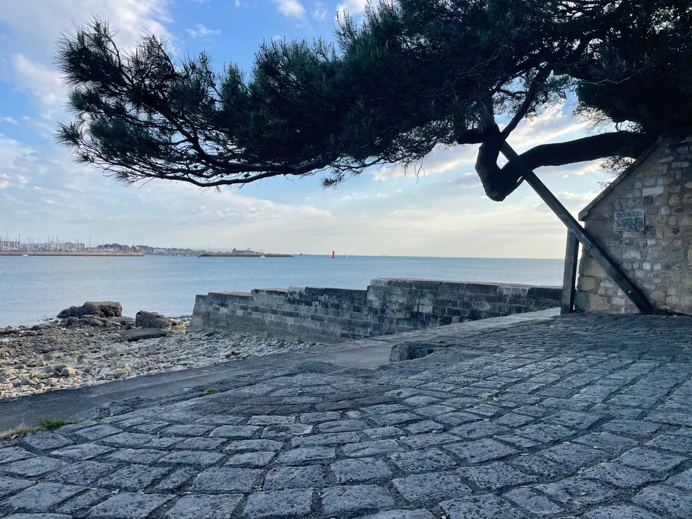 GIF ajouté par Flav