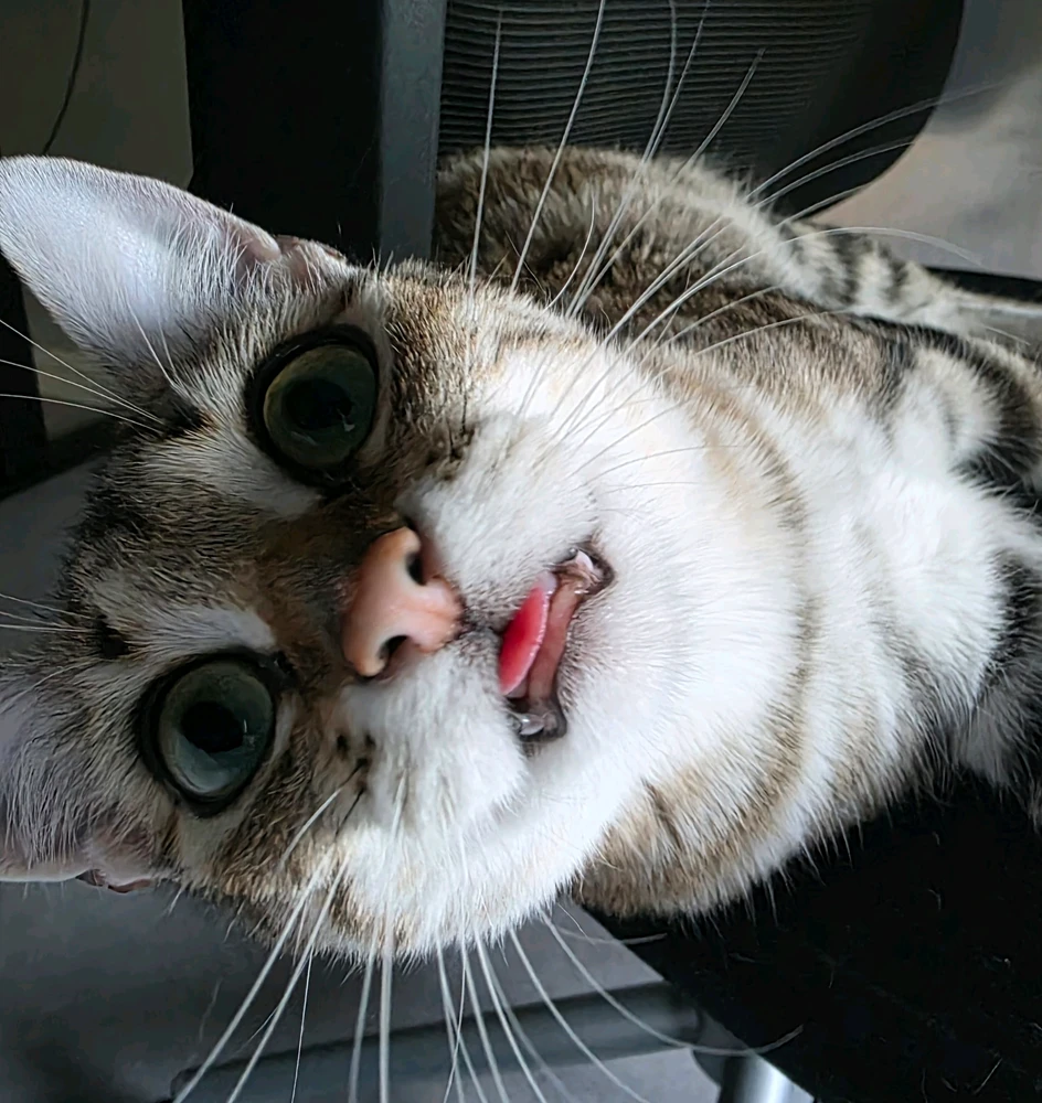 GIF ajouté par Bryan