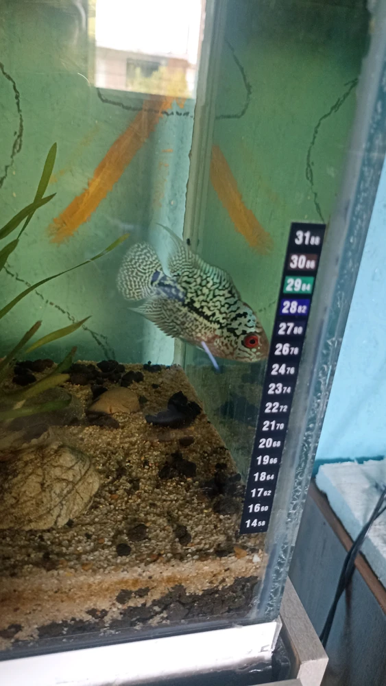 GIF uploaded by Billy