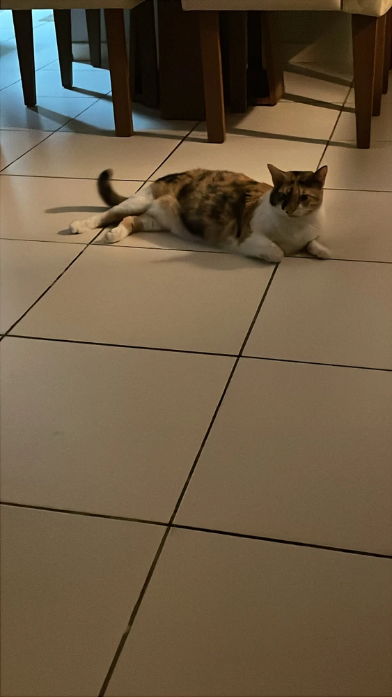 GIF enviado por Gabi