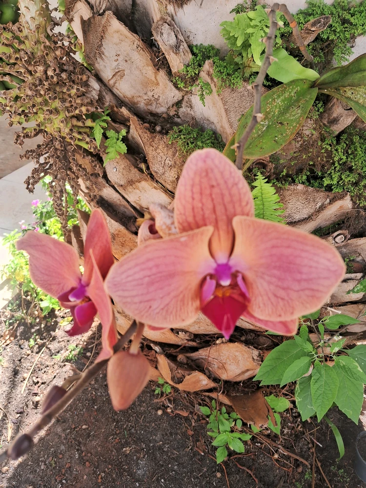 Image uploaded by Maryan