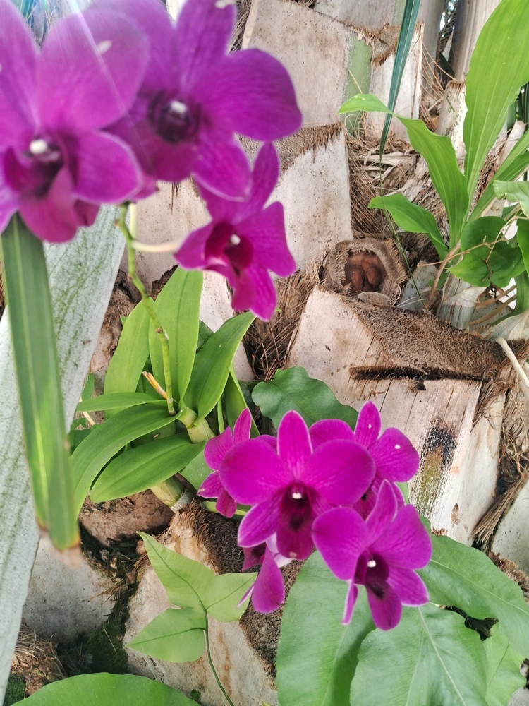 Image uploaded by Maryan