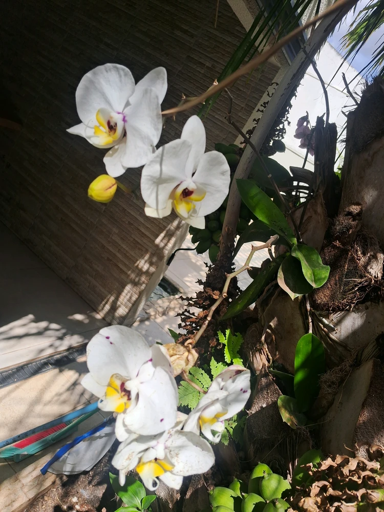 Image uploaded by Maryan