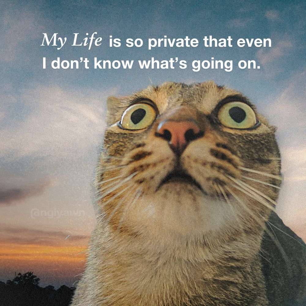 GIF uploaded by Luna