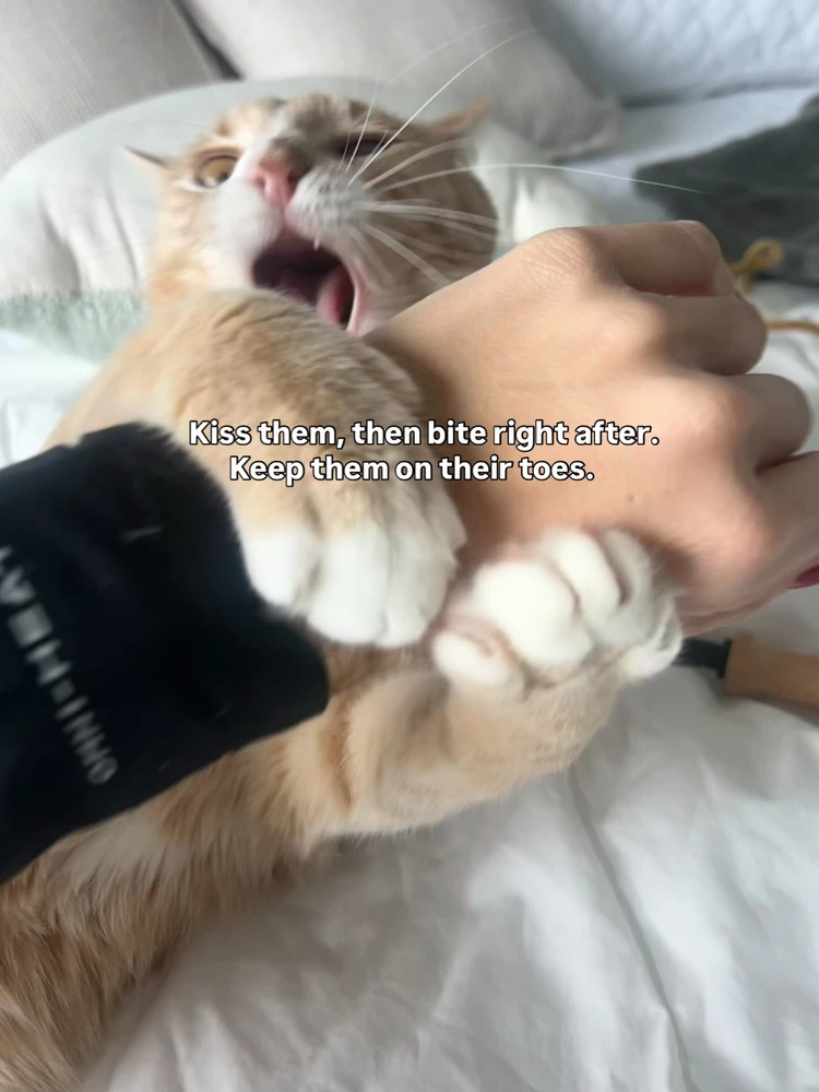 GIF uploaded by Luna