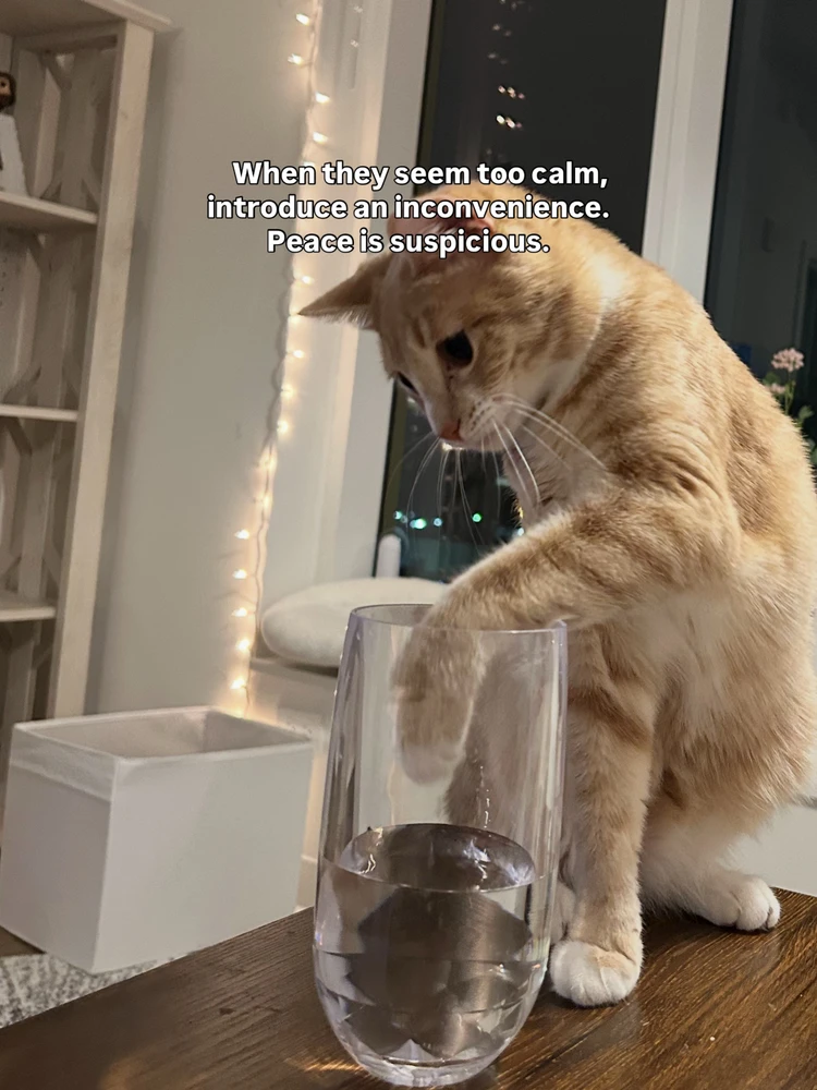 GIF uploaded by Luna