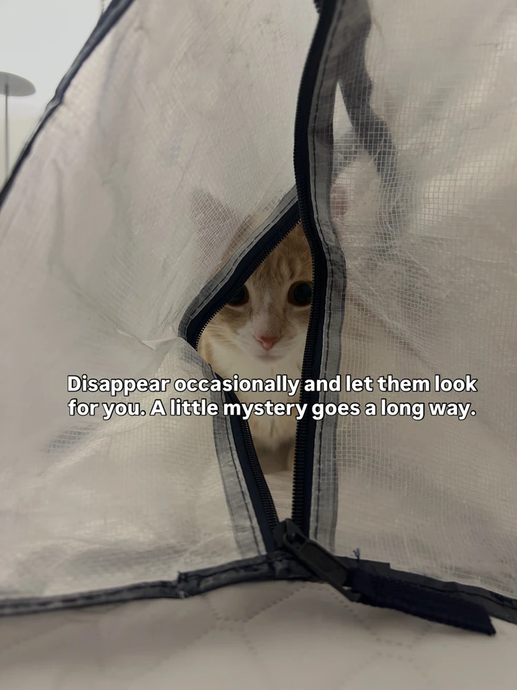 GIF uploaded by Luna