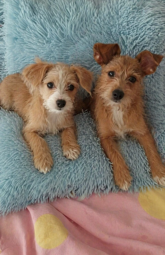 GIF uploaded by Kimber