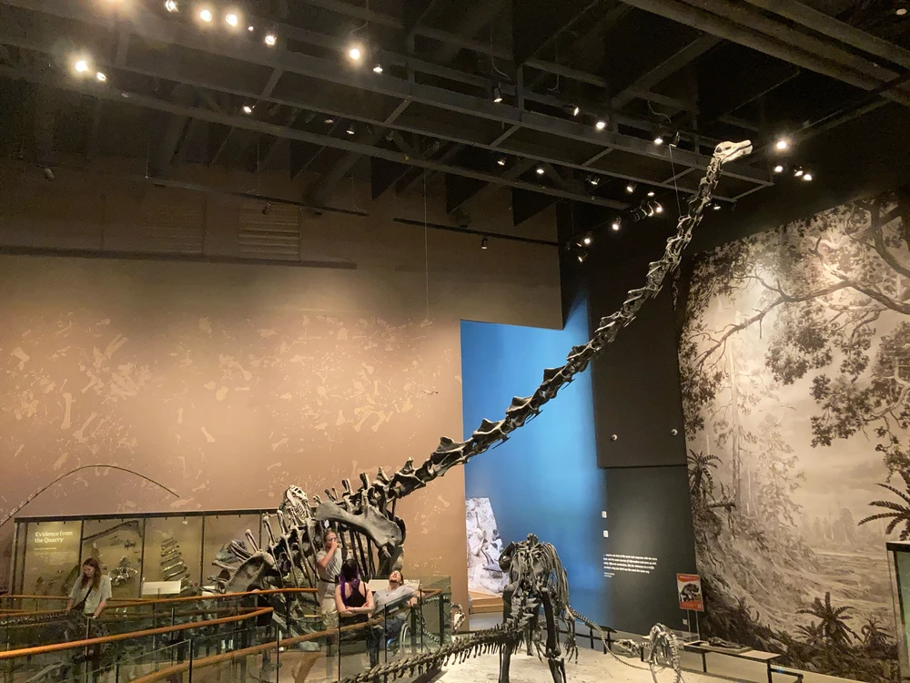 GIF uploaded by Trin