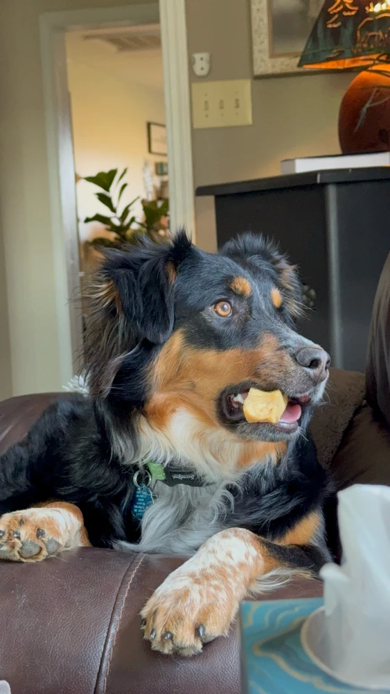 GIF uploaded by Rayna