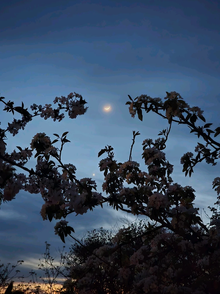 GIF uploaded by Bogdan