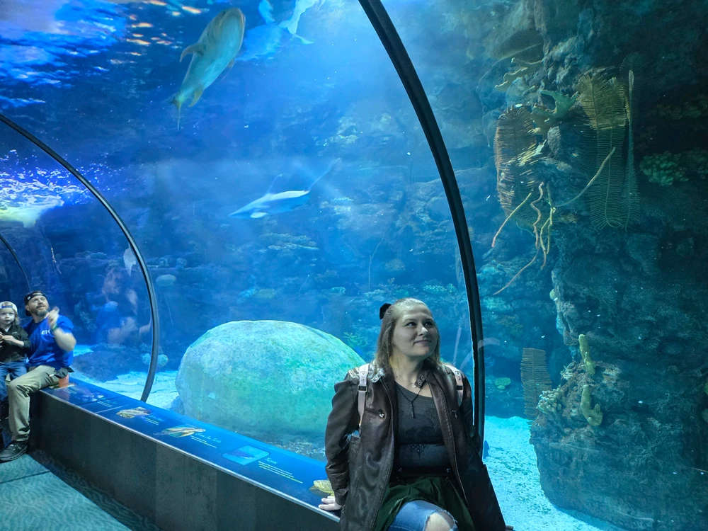 Image uploaded by Lauren