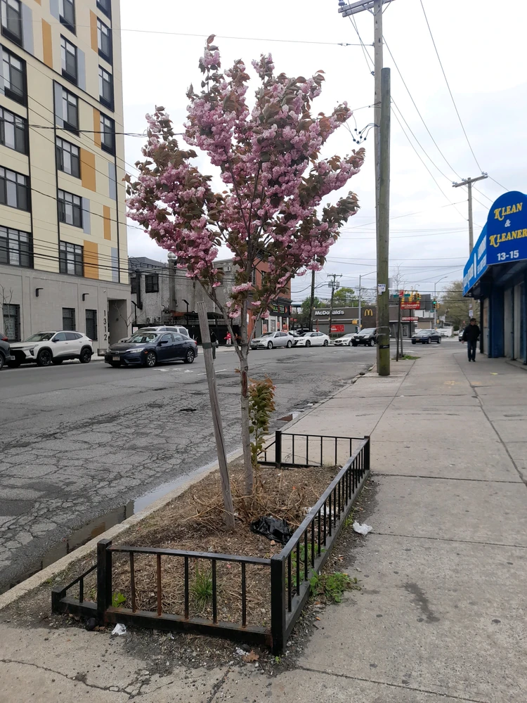 GIF uploaded by Diaz Natasha