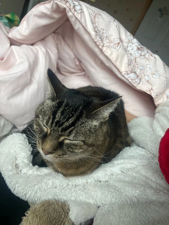 GIF uploaded by Leah