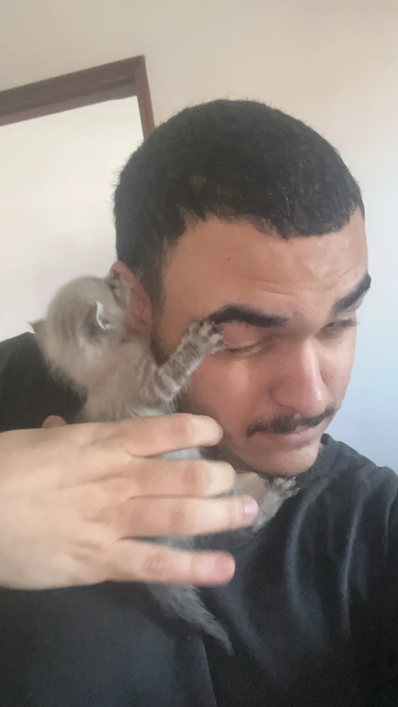 Imagem enviada por Patrick