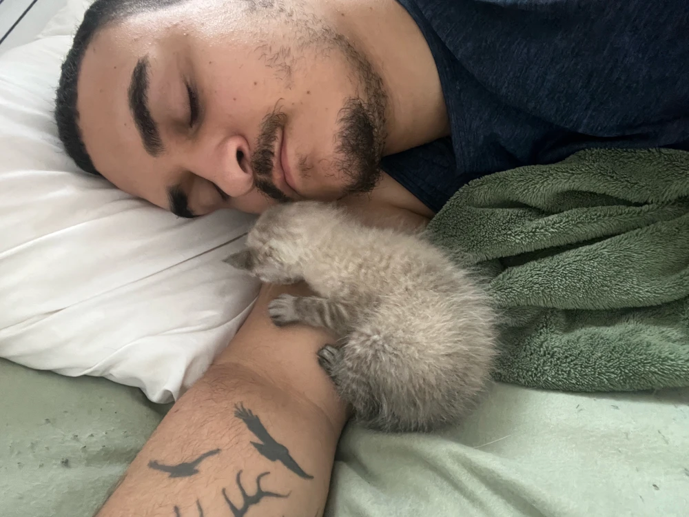 Imagem enviada por Patrick