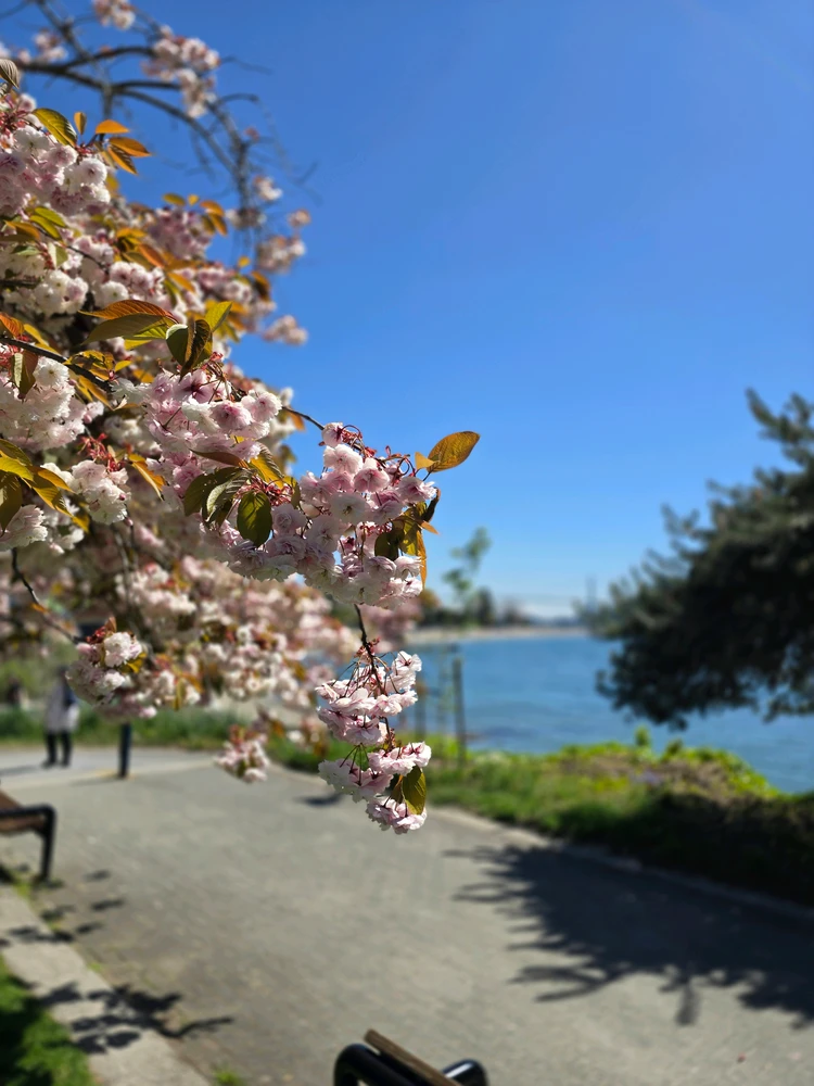 Image uploaded by Bryan