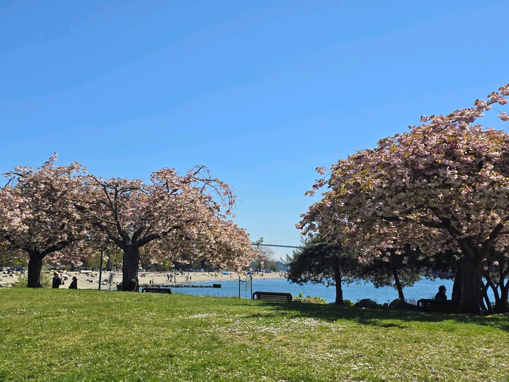 Image uploaded by Bryan