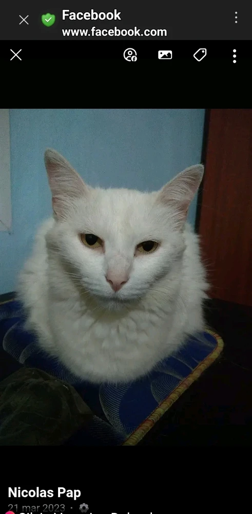 GIF uploaded by Nickolas Pap