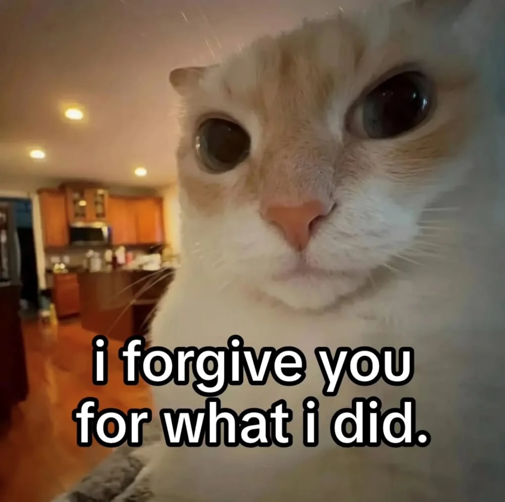 GIF uploaded by Anina