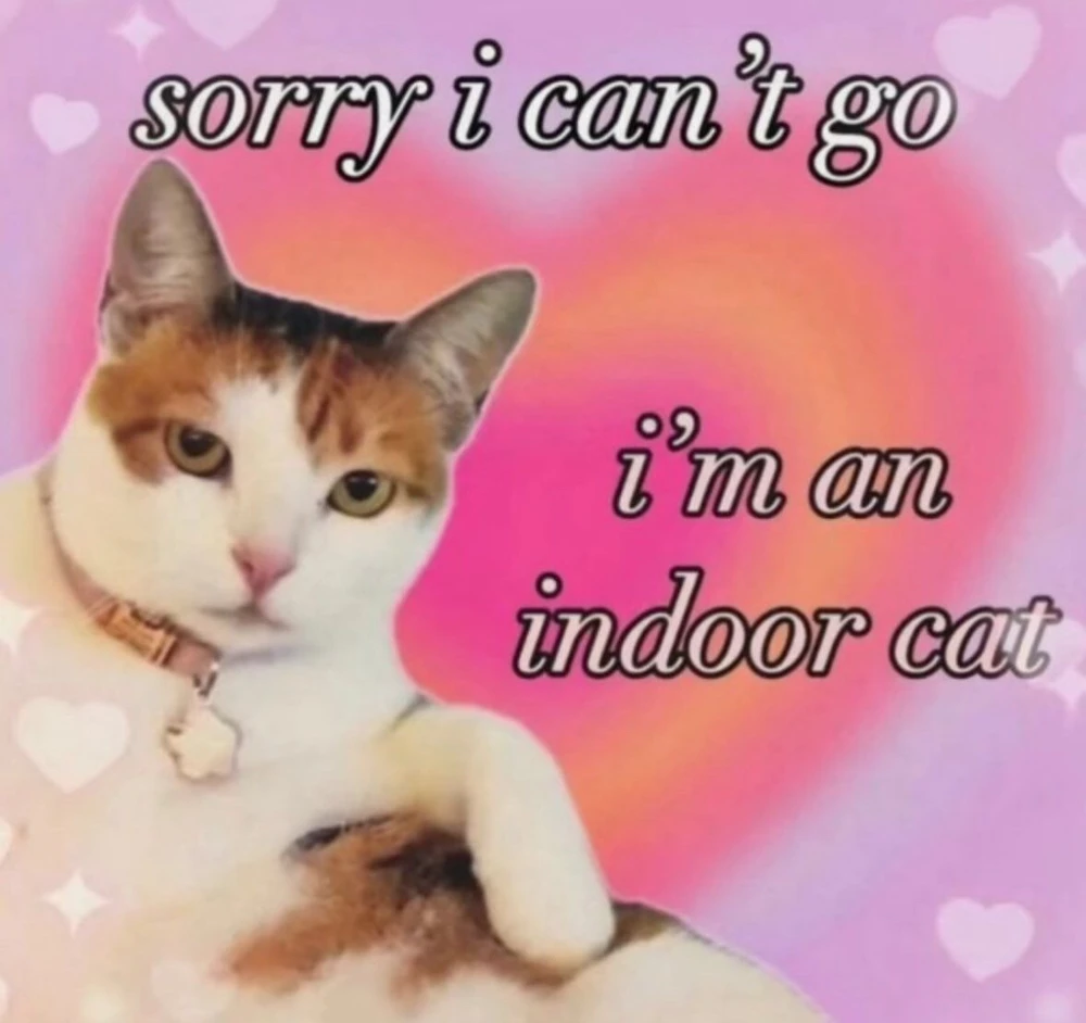 GIF uploaded by Anina