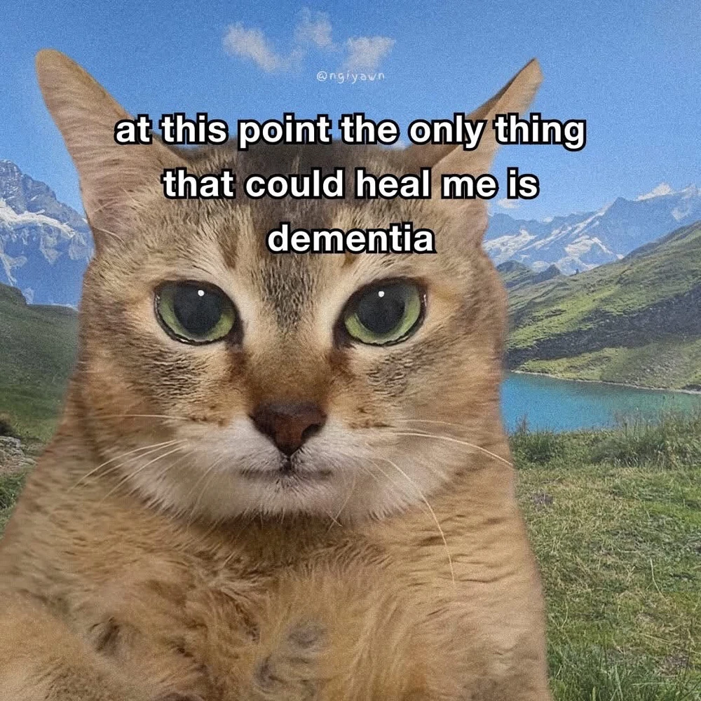 GIF uploaded by Anina