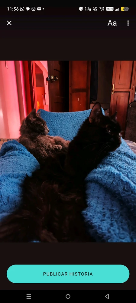 GIF uploaded by Duwer