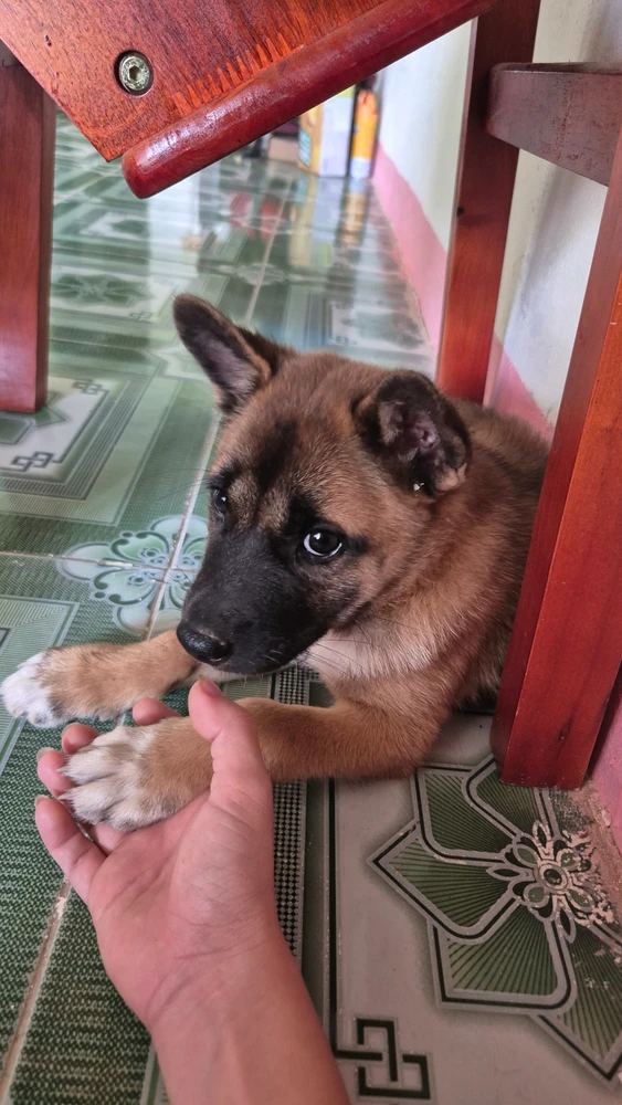 Image uploaded by Thảo