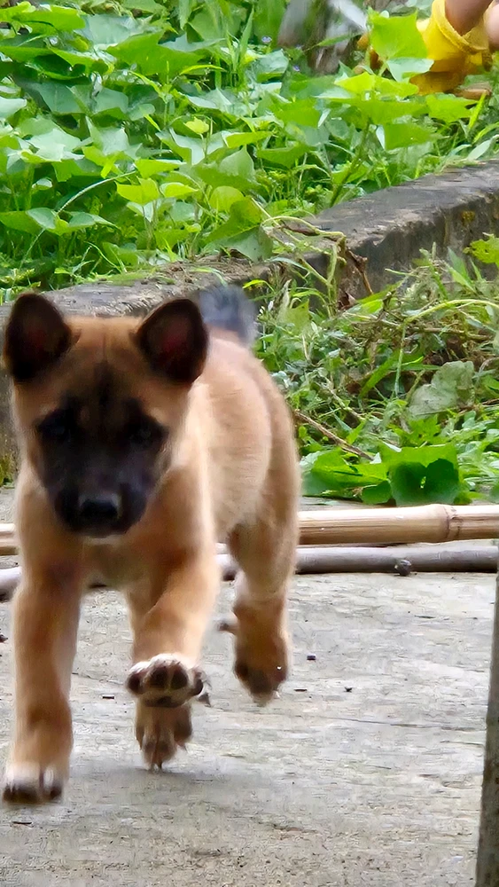 Image uploaded by Thảo