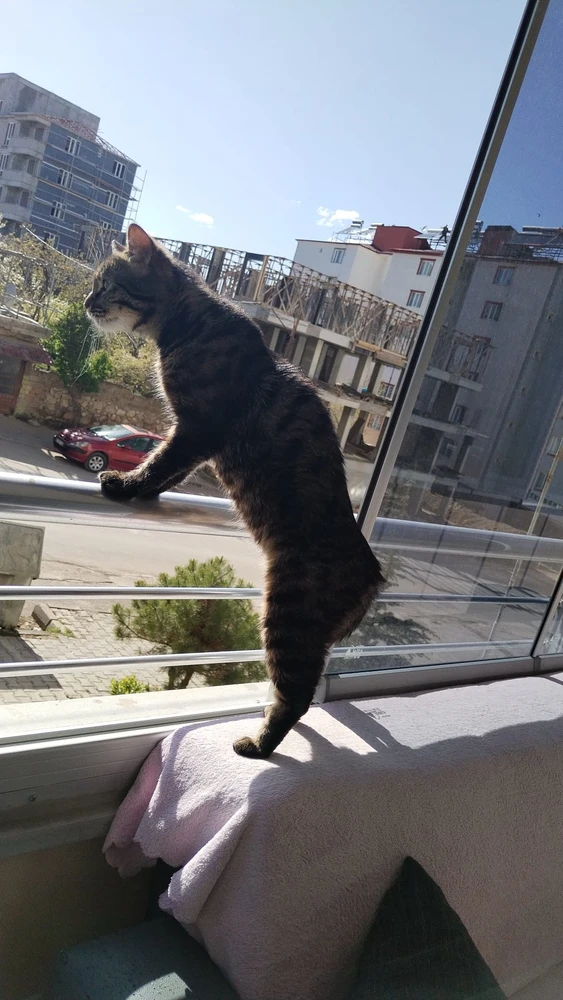 GIF uploaded by Efe