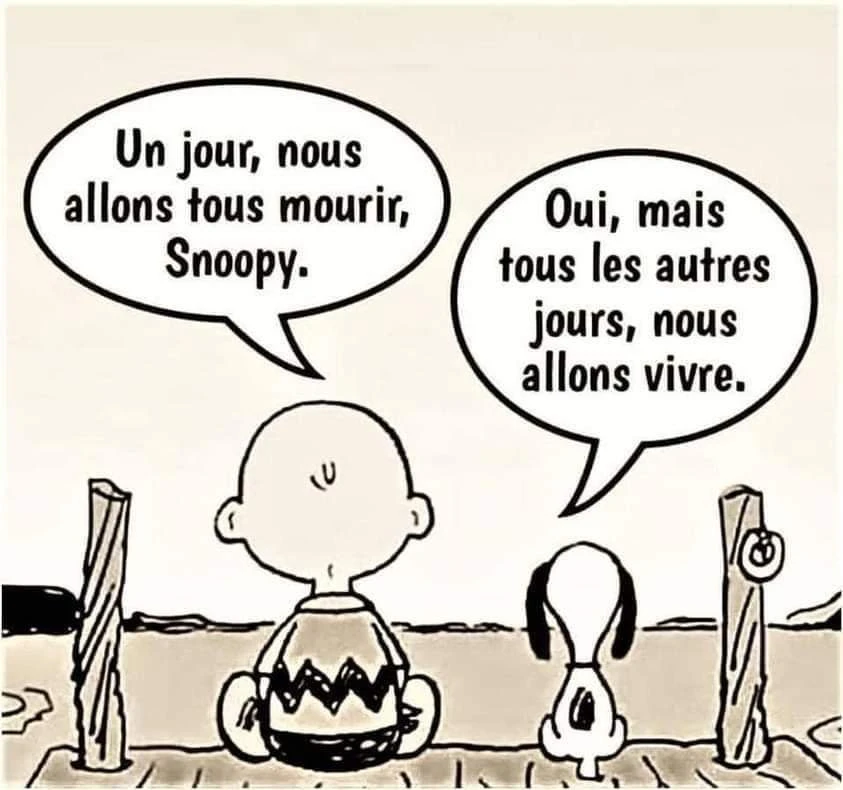 Image ajoutée par Dorian🐞