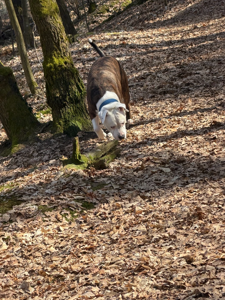 GIF hochgeladen von Jamiro