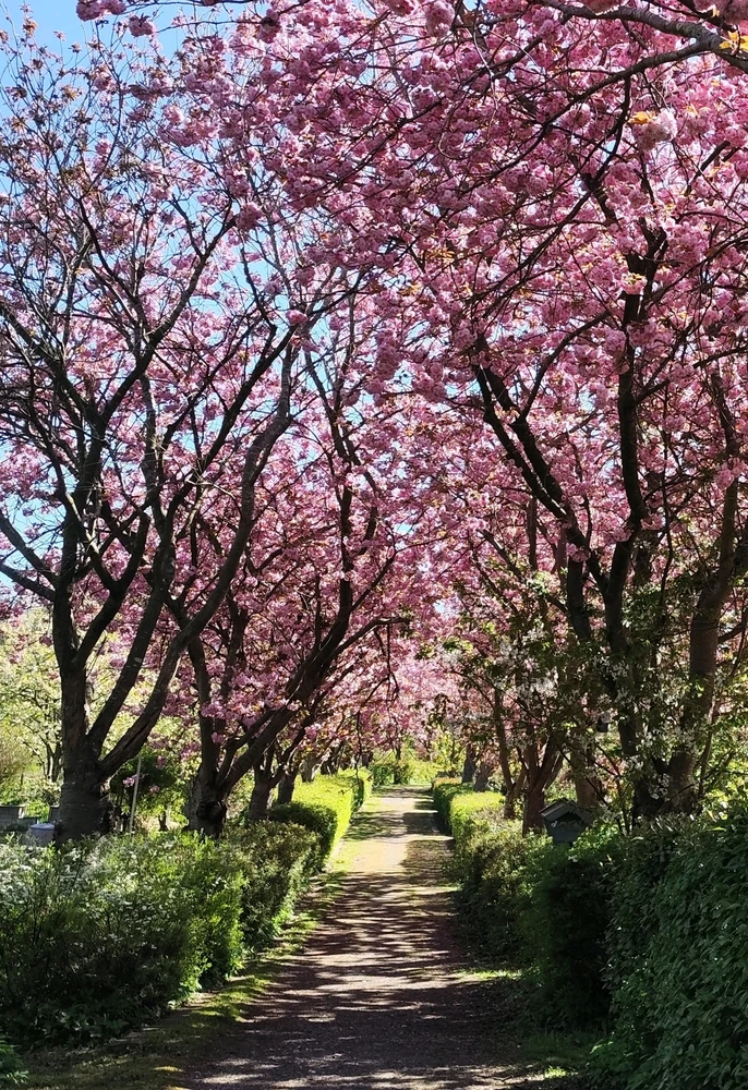 GIF hochgeladen von Alexandra