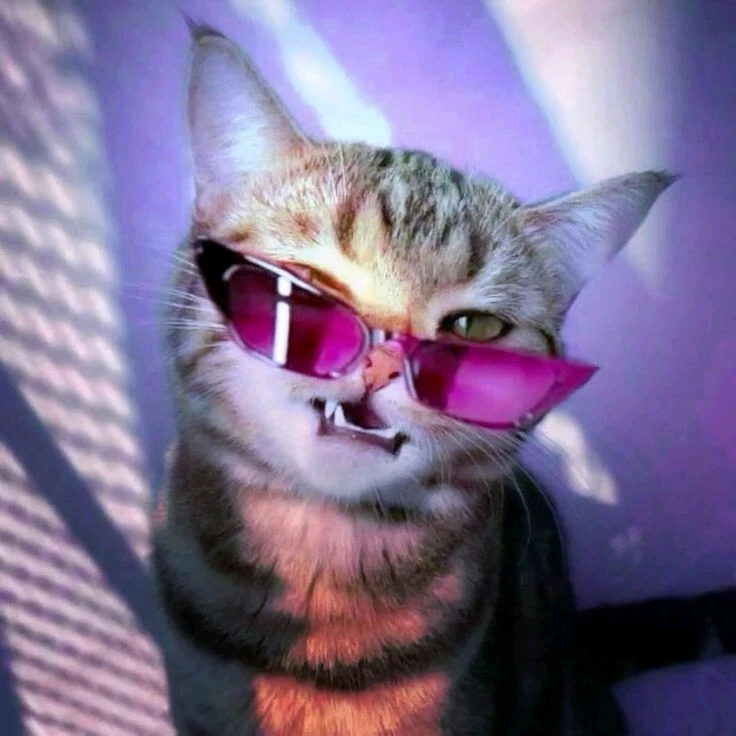 GIF uploaded by Moth