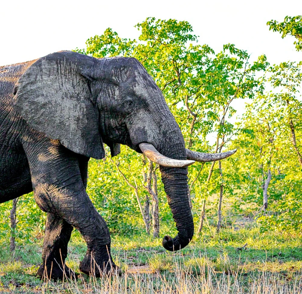 GIF uploaded by Gerhard