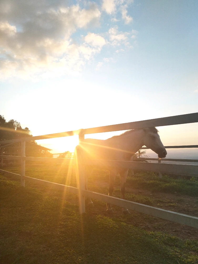 Image uploaded by Korin