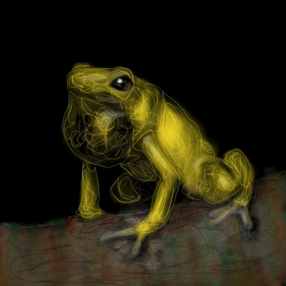 Image uploaded by Iván