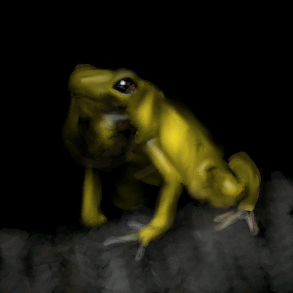 Image uploaded by Iván