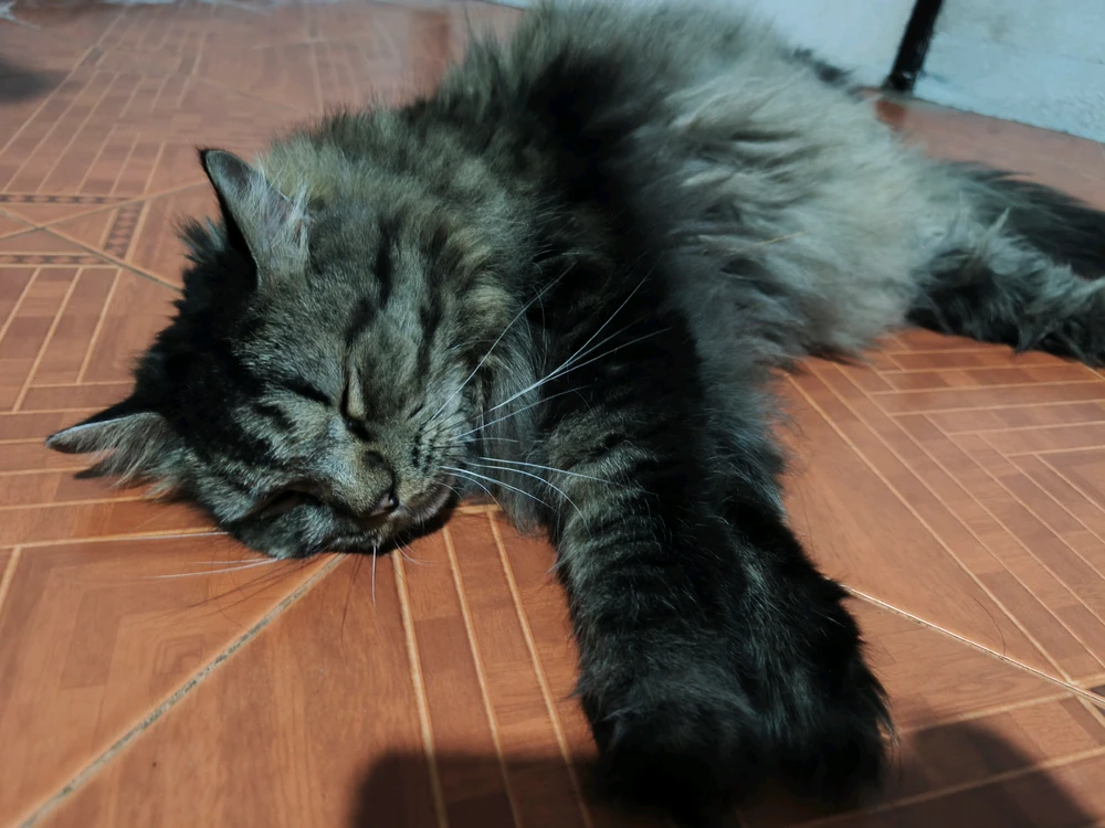 GIF uploaded by Kan(⁠≧⁠▽⁠≦⁠)カンイヤーeleanor