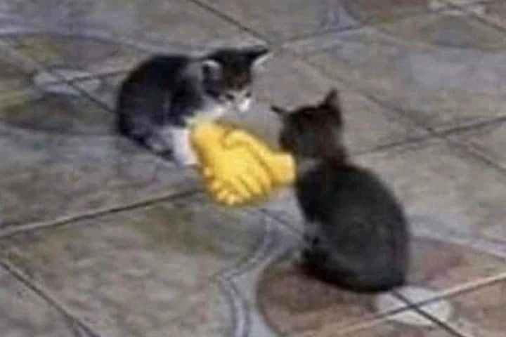 Alperen йөкләгән GIF
