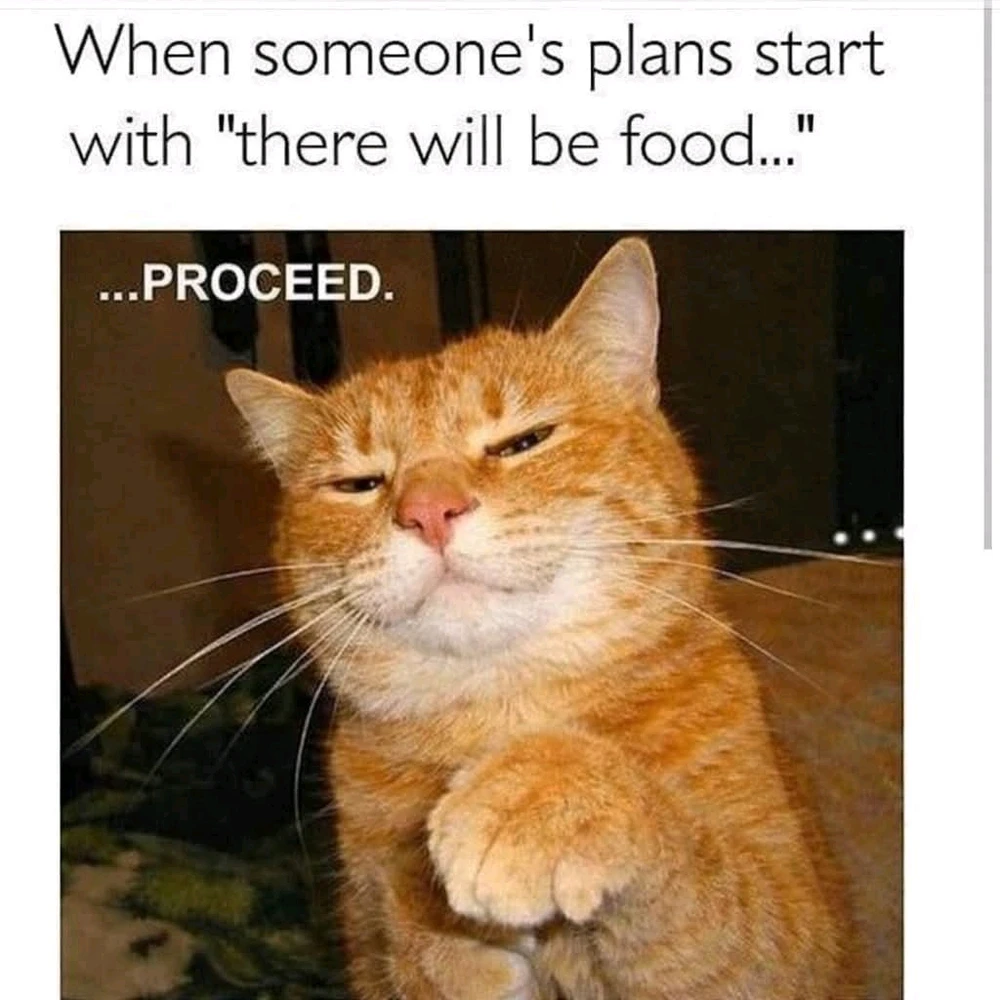 GIF uploaded by Sereneia