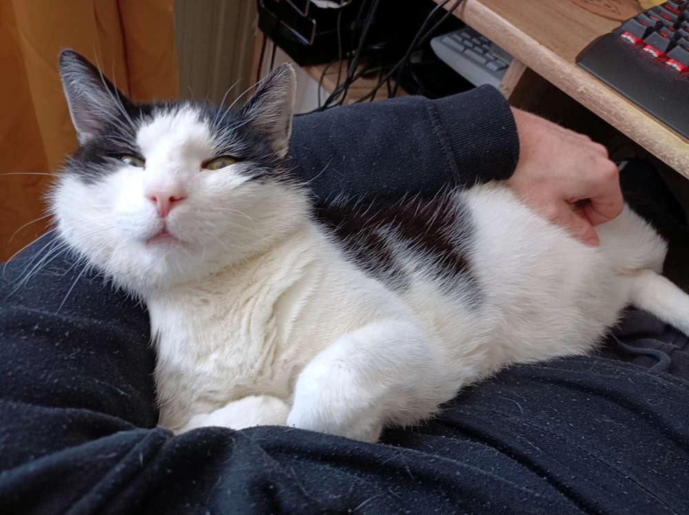 GIF hochgeladen von 4ndr3w