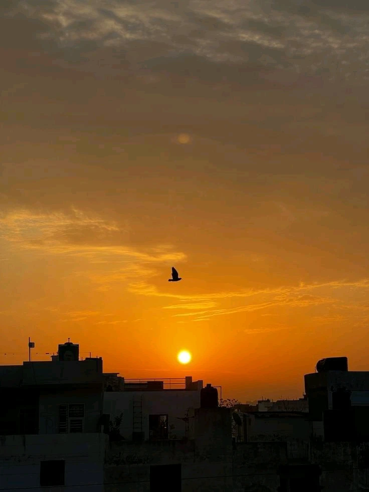 GIF uploaded by 𝑨𝒏𝒆𝒆𝒍..